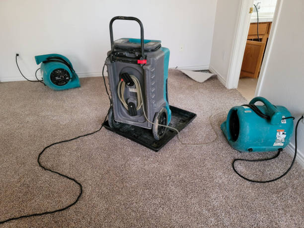 Best 24/7 water damage repair  in Sierra Vista Southeast, AZ