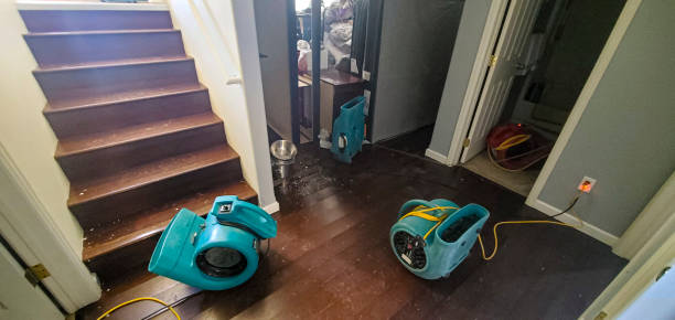 Sierra Vista Southeast, AZ Water damage restoration Company