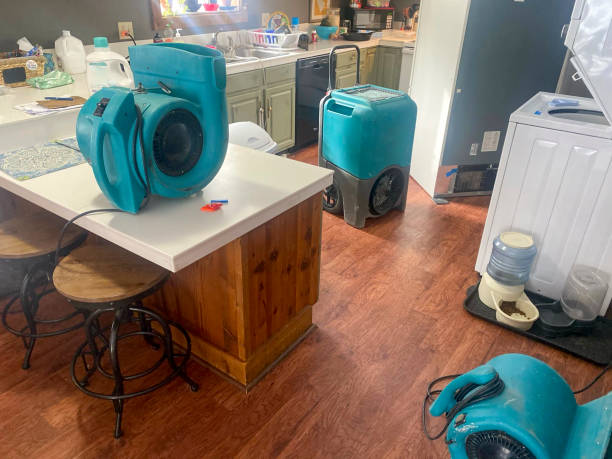 Best Professional water damage repair  in Sierra Vista Southeast, AZ