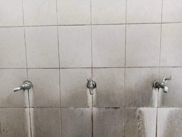 24/7 water damage repair in Sierra Vista Southeast, AZ