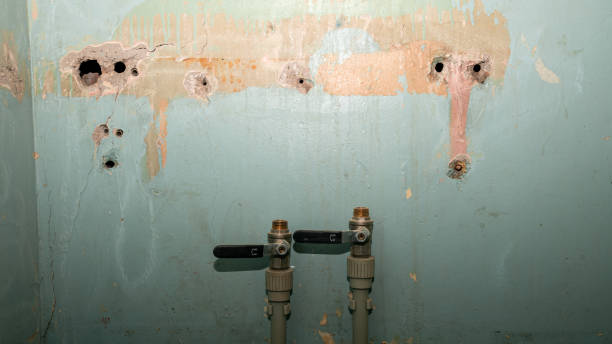 Best Water damage contractors near me  in Sierra Vista Southeast, AZ