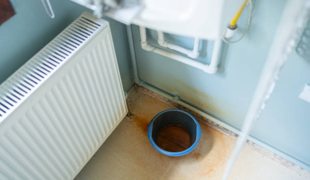 Best Ceiling water damage repair  in Sierra Vista Southeast, AZ