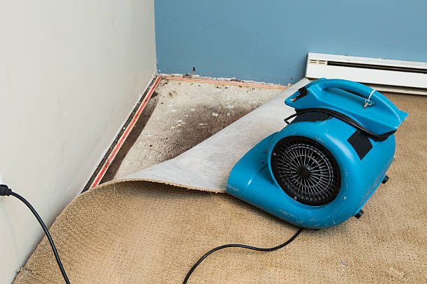 Best Water damage restoration near me  in Sierra Vista Southeast, AZ